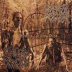 Venereal Messiah : Hymns for the Dead